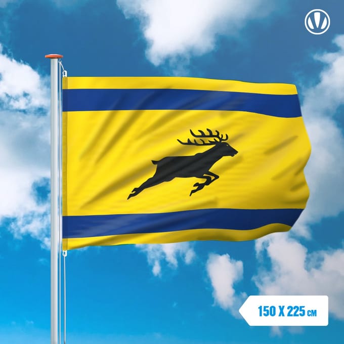 Vlag Veluwe 150x225cm
