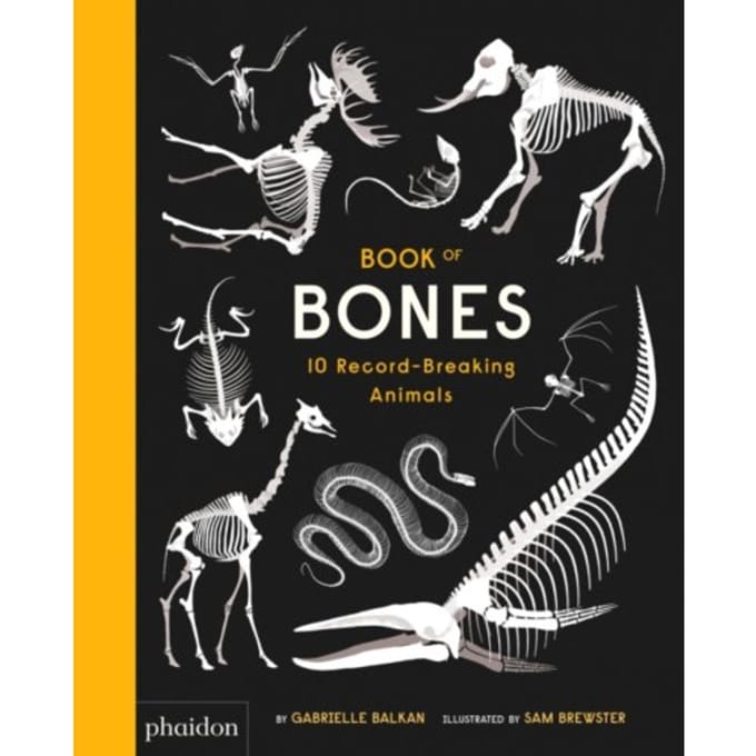 Book Of Bones - Sam Brewster