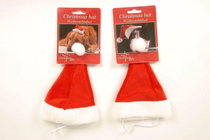 Kerstmuts Hond / Kat