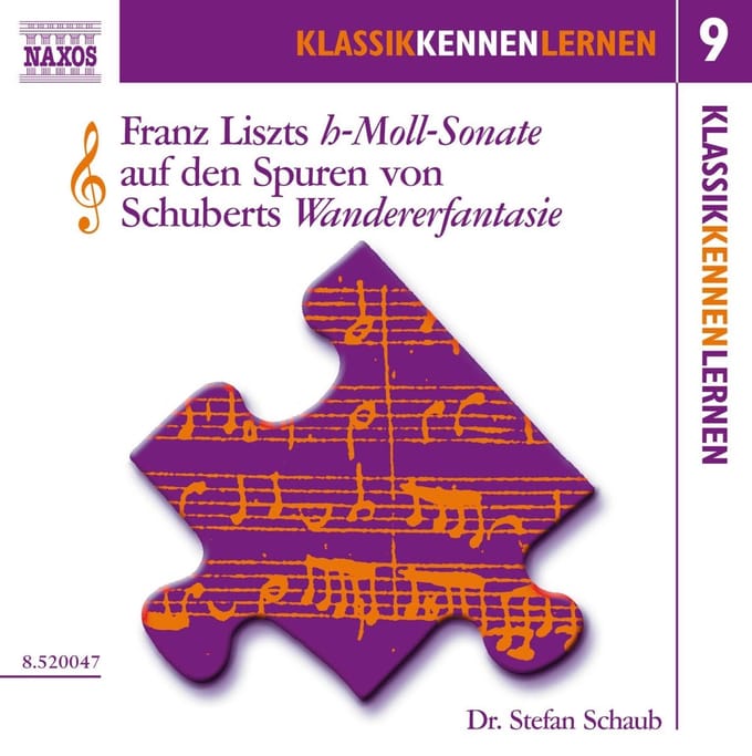 Stefan Schaub - Die H-Moll-Sonate Von Liszt Auf Den Spuren Von Schuberts Wandererfantasie (CD)