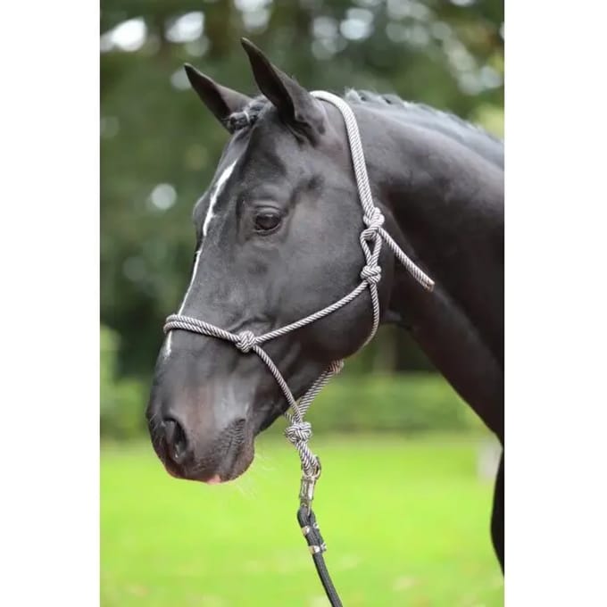 Ethologisch halster pony Kerbl