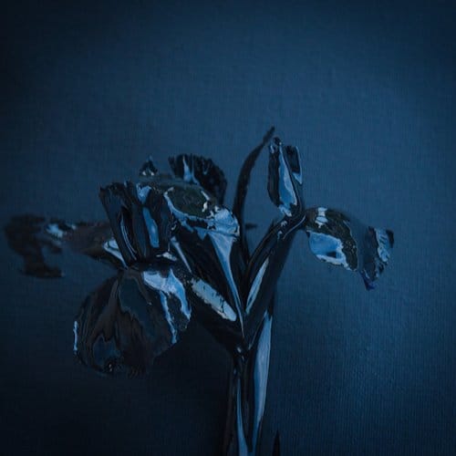 Rifts - A Swarm Of The Sun