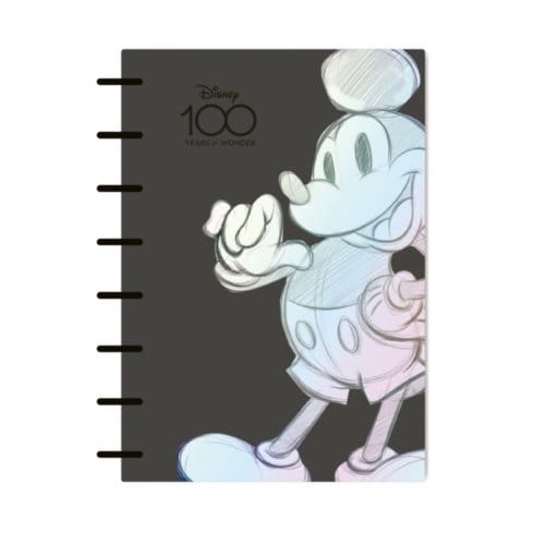Disney 100 opal collection mickey - agenda a5 (2024 - 2026)