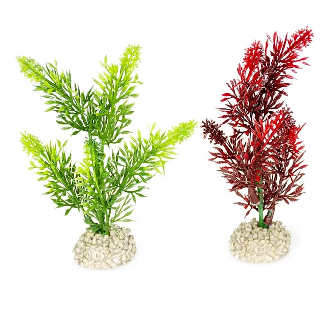Aquarium planten decoratie Aqua Della Elodea Densa S