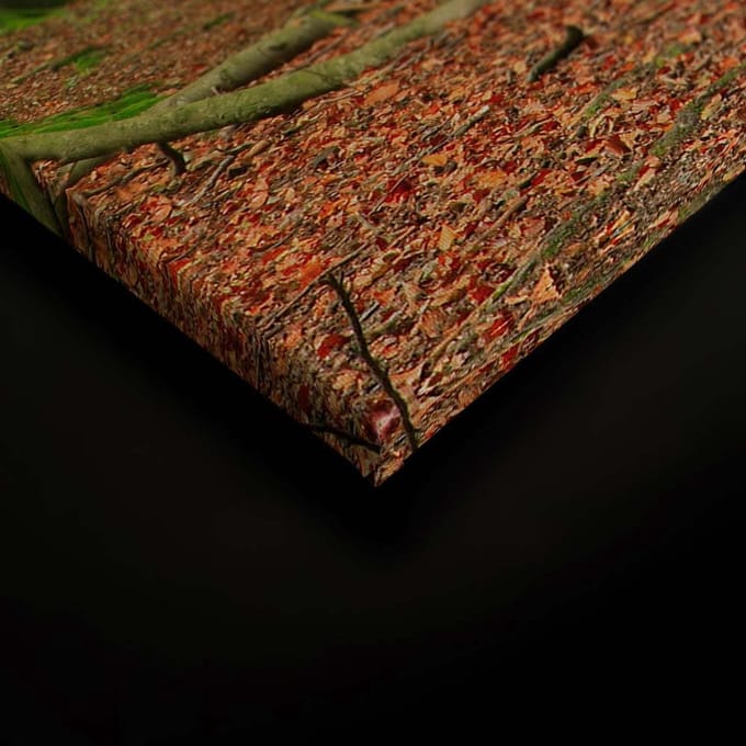 Canvas DD124952 Moosbäume A. S. Création