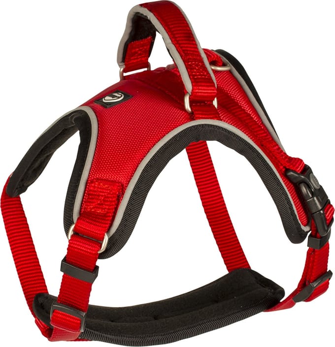 Duvoplus - Hondentuigje - Hond - Explor West Harnas Nylon Xl 65-80cm/25mm Rood - 1st