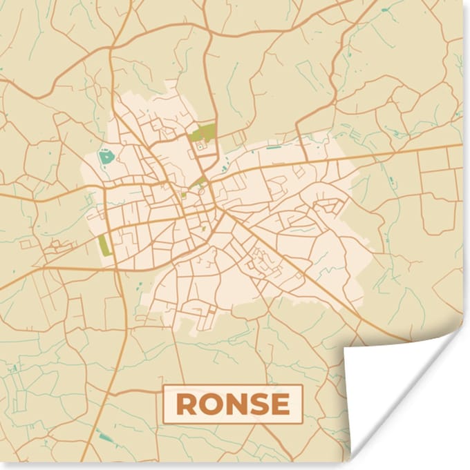 Poster Plattegrond - Stadskaart - Ronse - België - Kaart - 30x30 cm