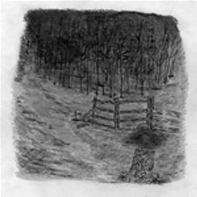 Telepathe - Farewell Forest (CD)