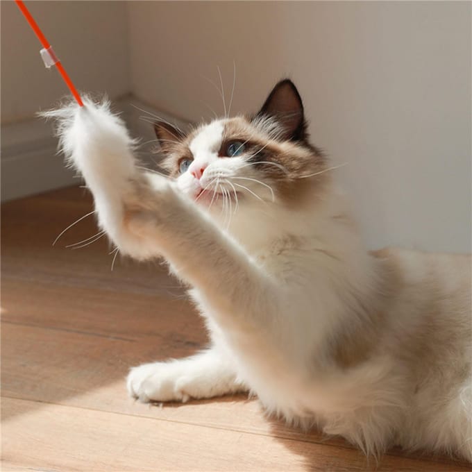 Baguette en peluche pour chat résistante aux morsures, respectueuse de l'environnement, fabriquée à la main, douce et flexible, jouets pour chat blanc