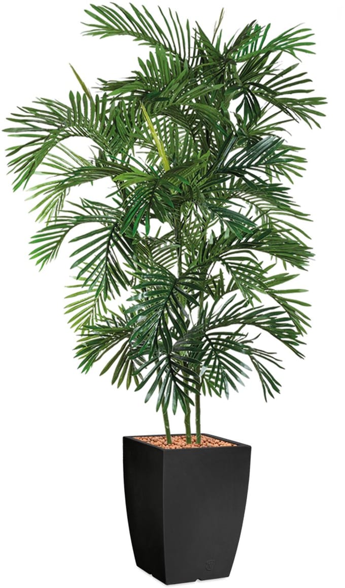 HTT - Kunstplant Areca palm in Genesis vierkant antraciet H190 cm