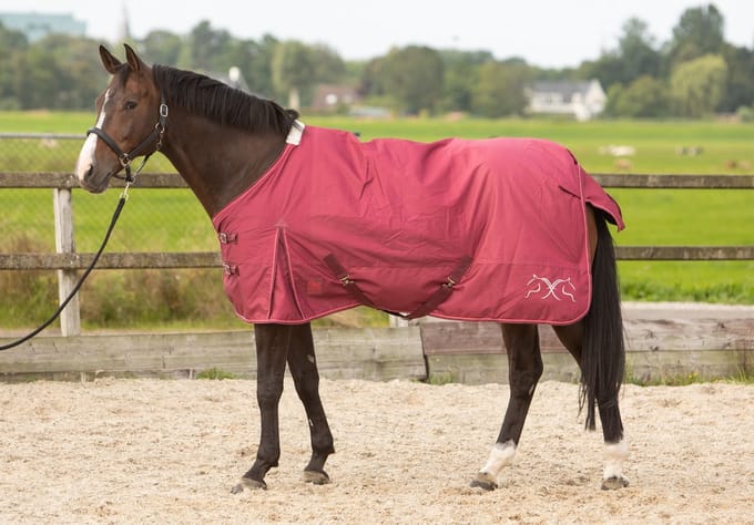 Regendeken 0gr Thor fleece  Rhododendron-185