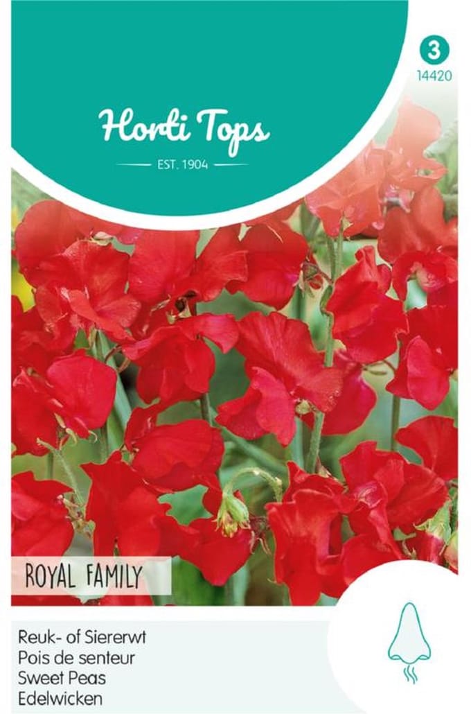 Hortitops Zaden - Lathyrus Odor. Royal Family Rood