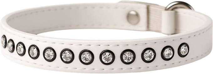 Animalking Halsband Kat - Kattenbandje - Kattenriem - Cat Collar - Wit met Diamanten