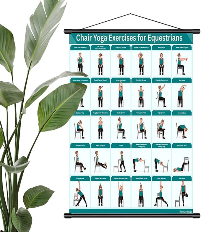 Oefentafel met stoel - Pilates schema - Beginners training - Inklapbaar en monteerbaar - 40 x 60 cm - Blauw