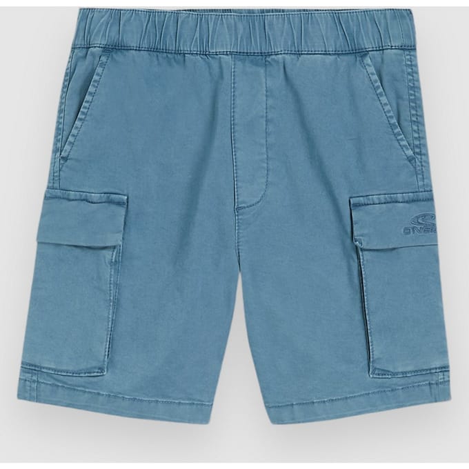 O'Neill Cargo Kids Korte Broek blauw
