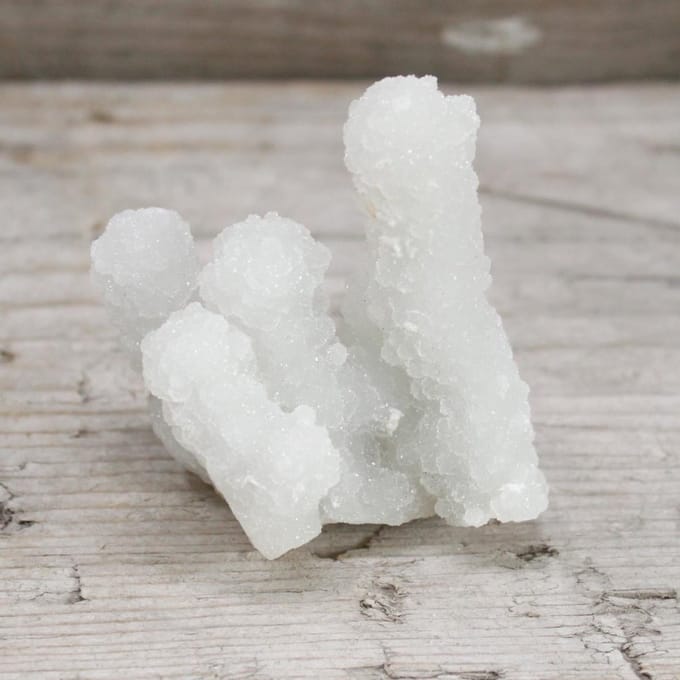 Vingerkwarts (minimaal 5 stuks per verpakking van 1 kg)