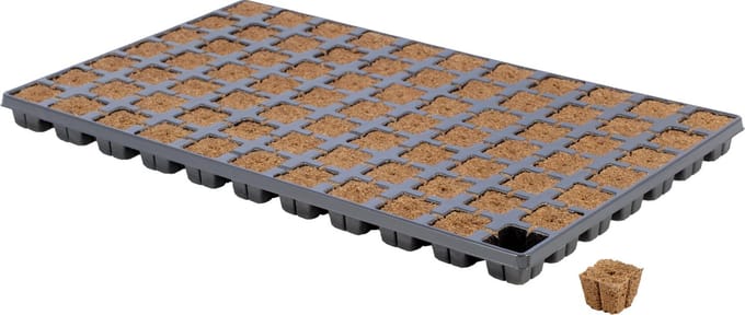 EAZY PLUG zaaitray en stektray met 77 pluggen 3,5 x 3,5 x 3 cm, Biobased