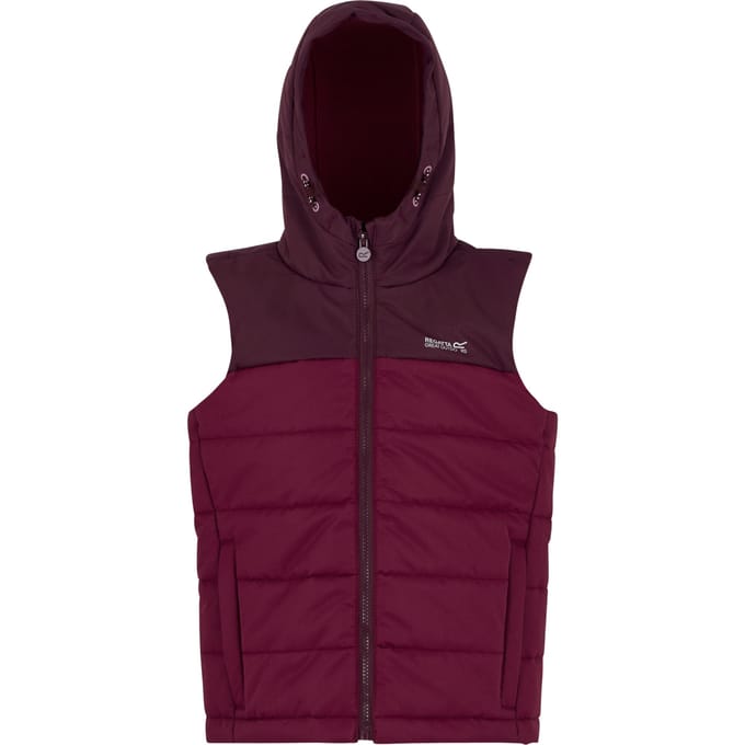 Regatta Lofthouse Bodywarmer voor kinderen/Kinderen (Vijg/Dark Pimento)