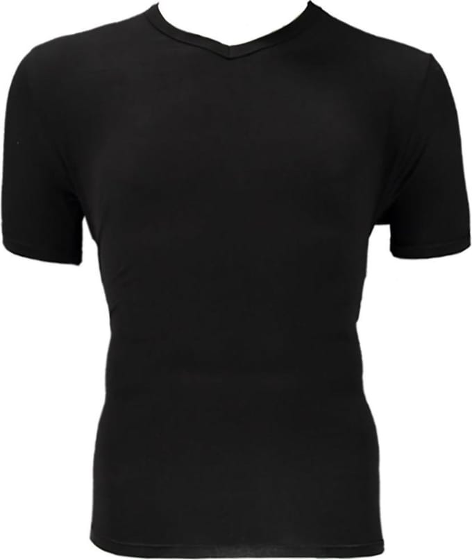 Apollo Heren T-shirt Bamboo Basic V-hals Zwart L 2 stuks