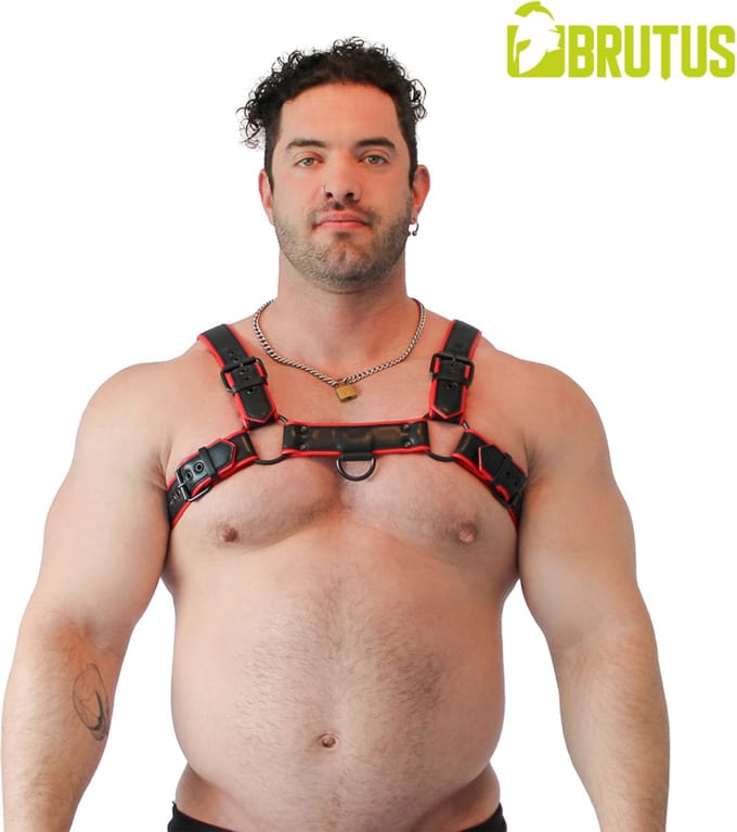 BRUTUS Vegan Bulldog Harness Black-Red L/XL