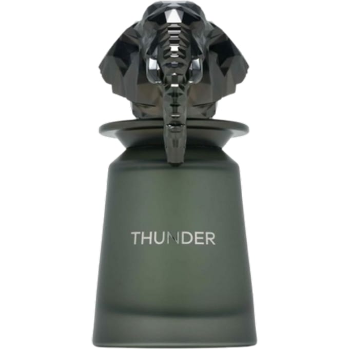 French Avenue Thunder Unisex Eau De Parfum - 100 ml