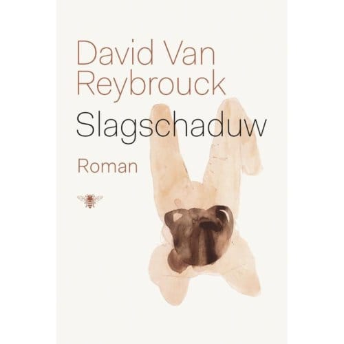 Slagschaduw - David Van Reybrouck