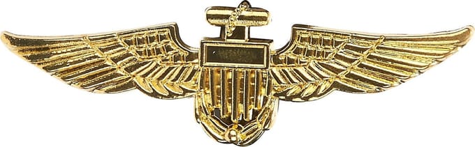 Gouden broche vliegenier