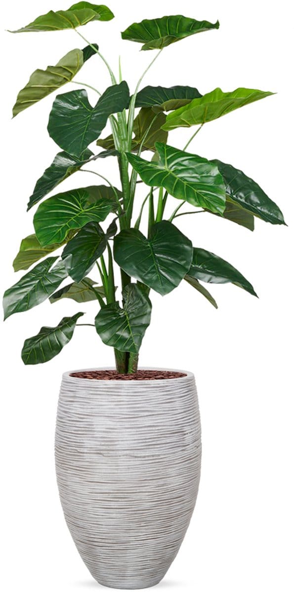 Kunstplant Philodendron in Vaas elegant Deluxe rib ivoor H155 cm