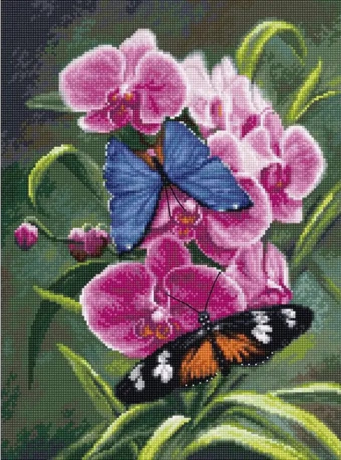 Luca-S Nature’s Poetry borduren (pakket) B7010
