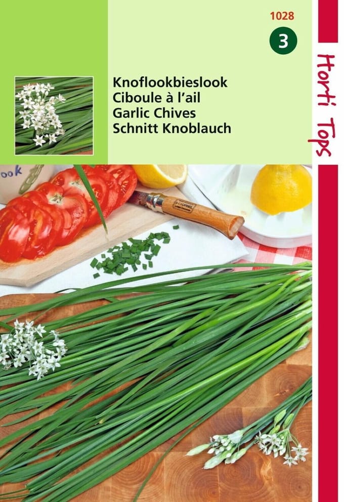 2 stuks - Hortitops - Chinese Knoflook Bieslook