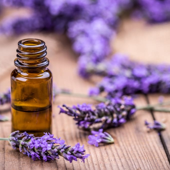 Etherische olie 'Lavendel', Airdancer, 5ml