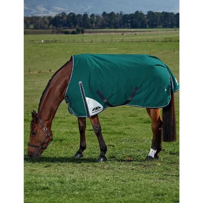 Outdoor paardendeken Weatherbeeta Comfitec Plus Dynamic 220g