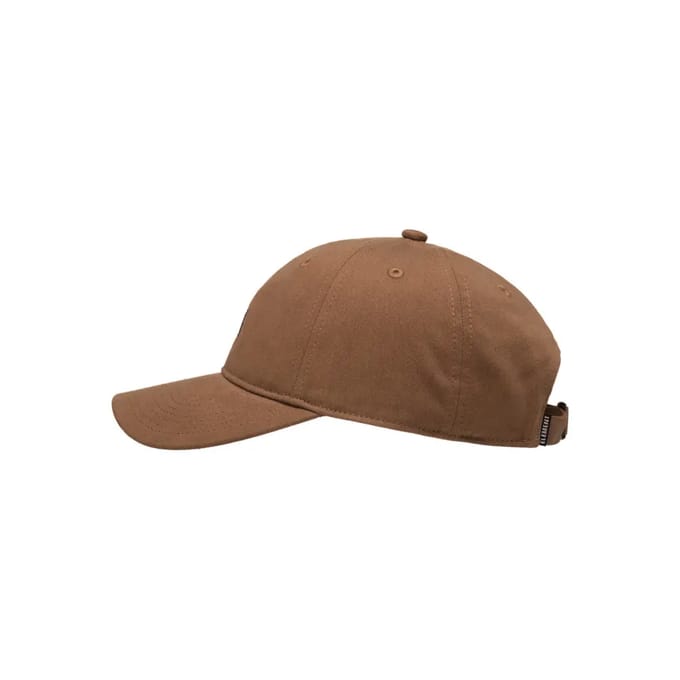 Element Icon Dad Twill Cap bruin