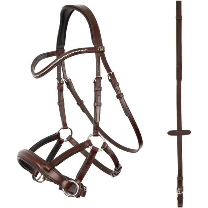 Anatomische hoofdstellen BR Equitation Lewes