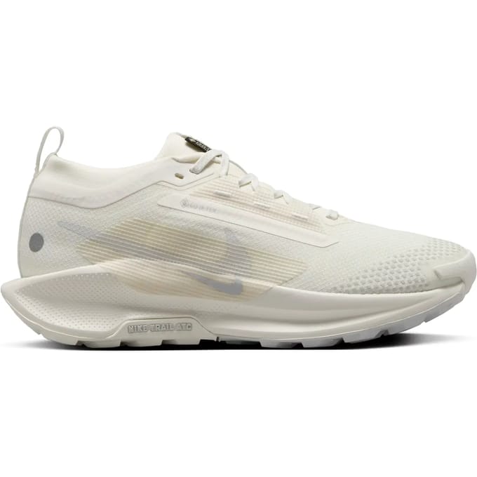 Damesschoenen Nike Pegasus 5 Gore-tex