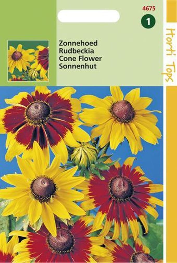 Hortitops Zaden - Rudbeckia Hirta Gloriosa Daisy Gemengd