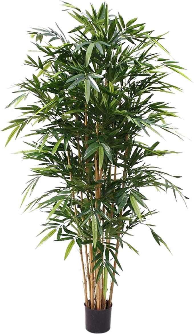 Bamboe Deluxe 180 cm FR