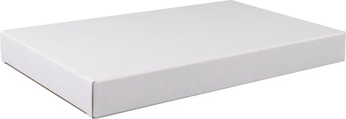 Brievenbusdoos 160x28x255mm 50 stuks WIT