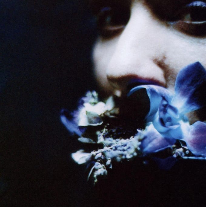 Reaching for Indigo