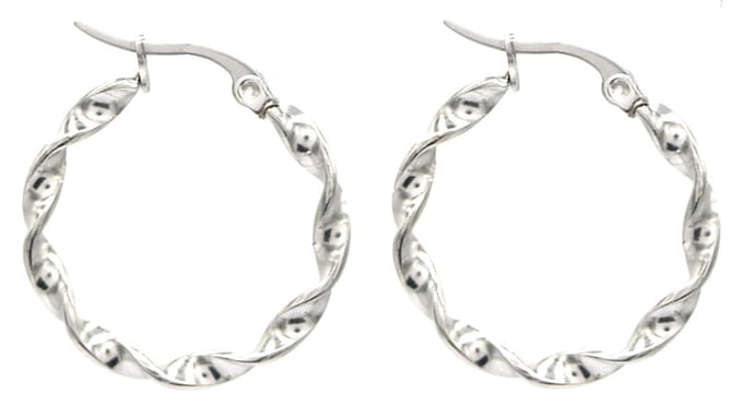 Oorbellen Draai - Oorringen - RVS - 2,5 cm - Zilverkleurig