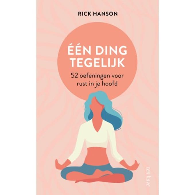 Eén Ding Tegelijk - Rick Hanson