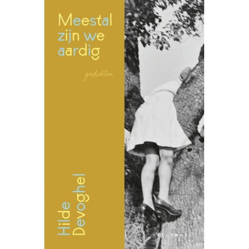 Meestal Zijn We Aardig - Hilde Devoghel