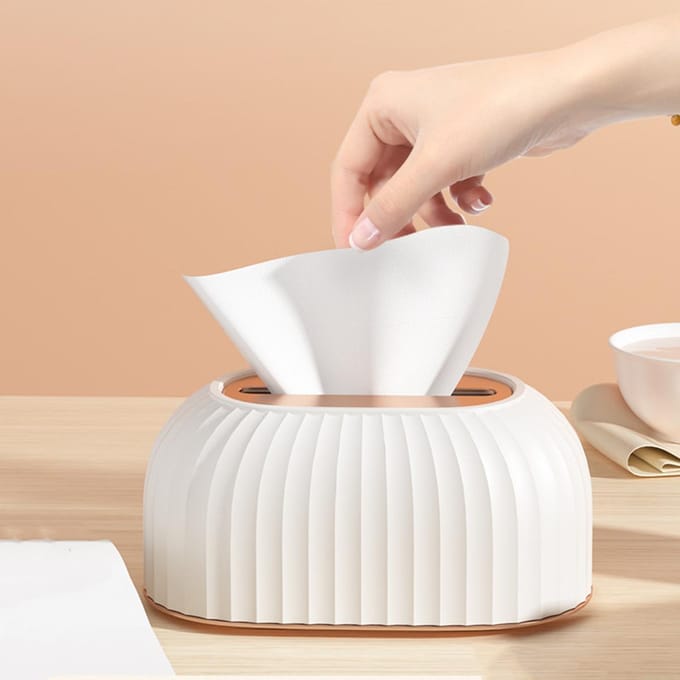 Distributeur de mouchoirs élégant de Style nordique, avec rangement télécommandé, pour salon, salle à manger blanc