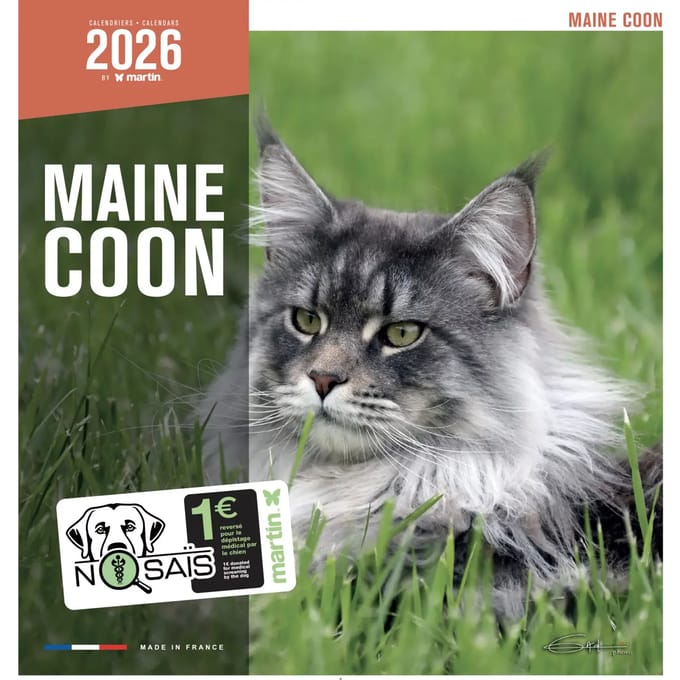 Kalender Martin Sellier Maine Coon