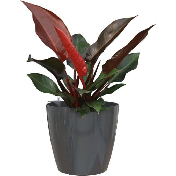 ARTEVASI – San Remo – Bloempot/cachepot – Auto-watering – Ø30 cm