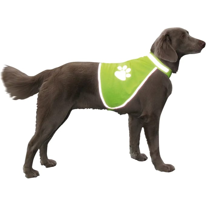 Veiligheidsvest voor honden Nobby Pet