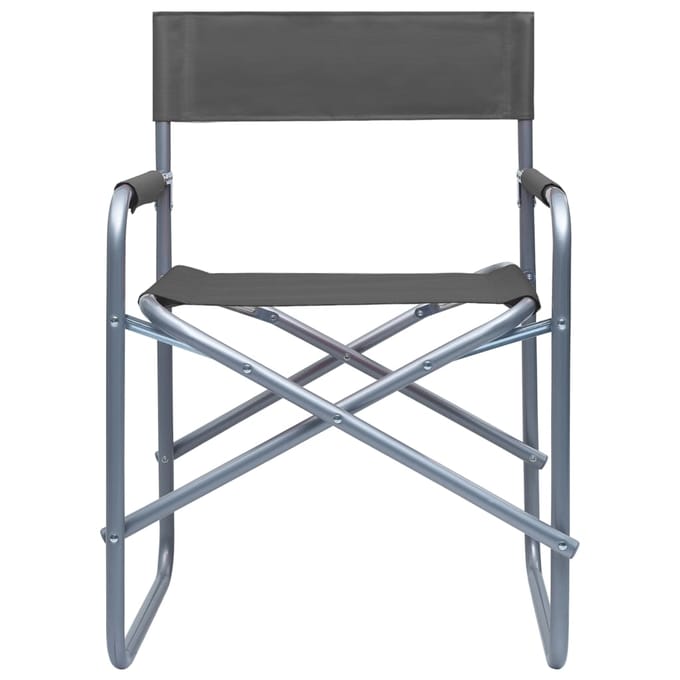 vidaXL - Regisseursstoelen - 2 - st - staal - grijs