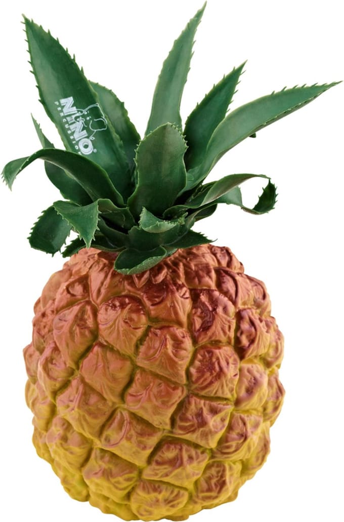 Meinl NINO595 Botany Shaker (Pineapple) - Shaker