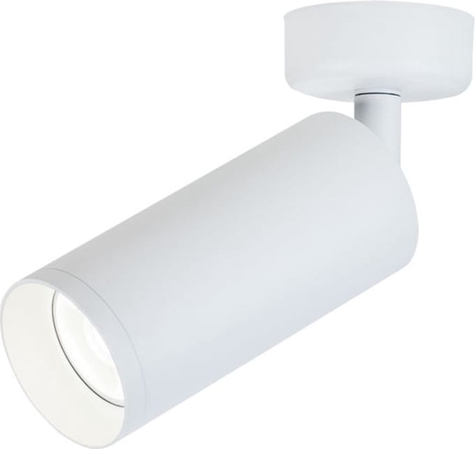 Lybardo - Plafondlamp - Opbouwspot - Draaibaar & Kantelbaar - Voor GU10 Spot