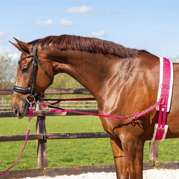 Pagony Wiesmoor Longeersingel - Maat: Shetl - Fuchsia - Polyamide